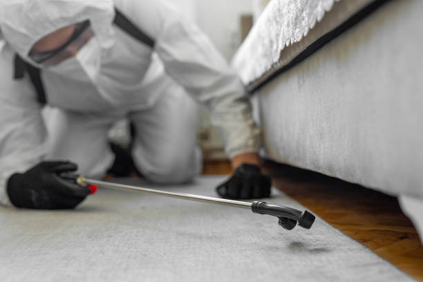 Professional Bed Bug Control technician working in New London, TX
