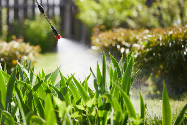 24/7 Emergency Bed Bug Control experts in New London, TX