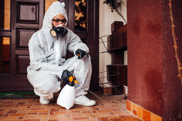Reliable Bed Bug Control contractor in New London, TX by Nex Pest Control